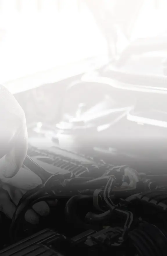banner-img